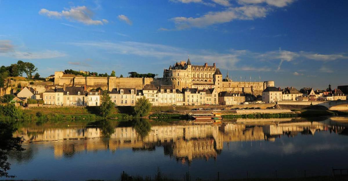 Le Briconnet / Proche Plumereau Apartment Tours Bagian luar foto